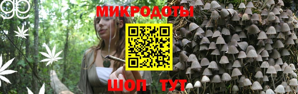 закладка  Псилоцибиновые грибы Cubensis  Вход с VPN  Рассказово  Галлюциногенные грибы ЛСД 